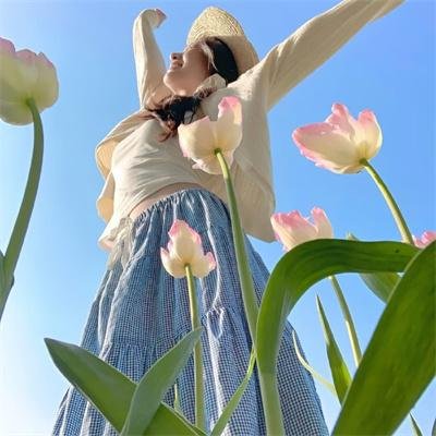 花牌情缘第二季