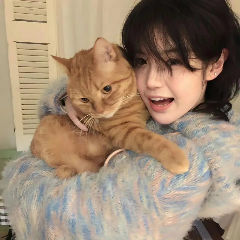 完美假期2之嘻芮恳谈会